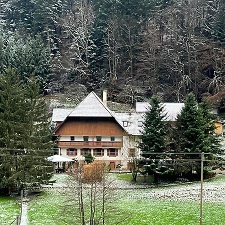 Geraeumige Wohnung Im Schwarzwald Seelbach  Zewnętrze zdjęcie