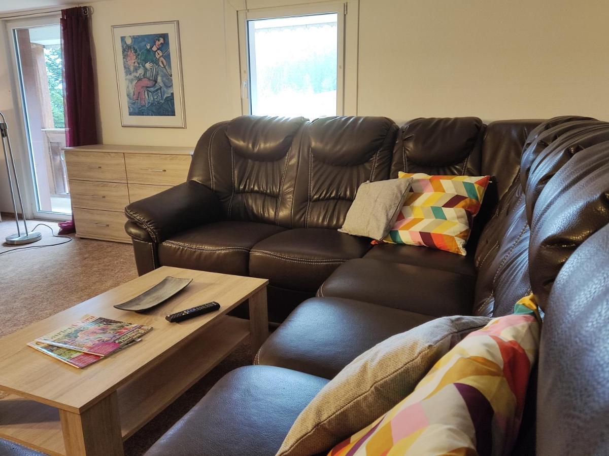 Geraeumige Wohnung Im Schwarzwald Seelbach  Zewnętrze zdjęcie