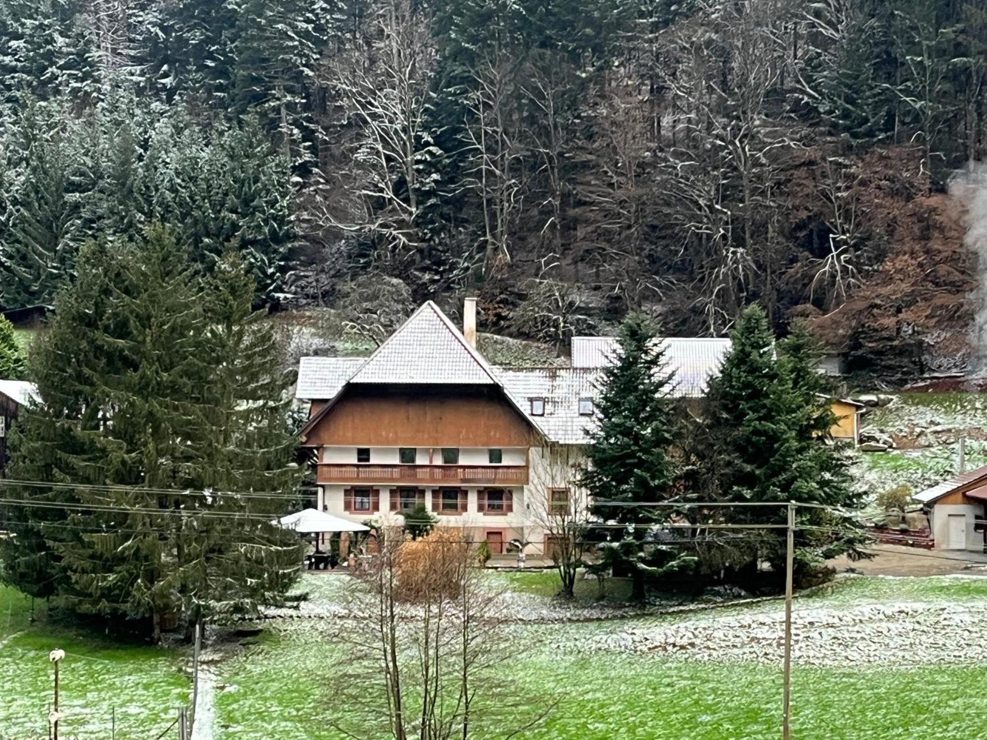 Geraeumige Wohnung Im Schwarzwald Seelbach  Zewnętrze zdjęcie